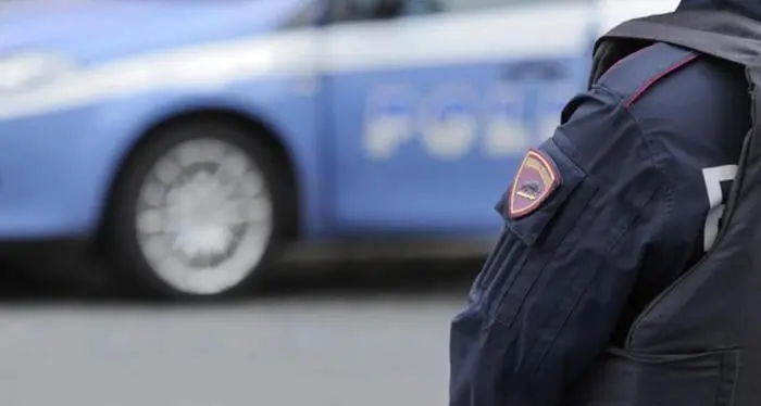 Polizia Vibo, reparto Prevenzione crimine sotto organico: il gruppo Democratici e riformisti si appella a Wanda Ferro\n