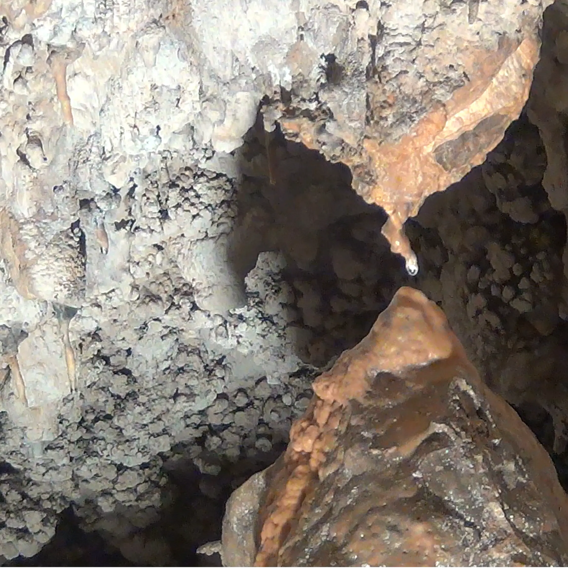 Pasqua 2026 alla scoperta delle Grotte di Sant'Angelo di Cassano