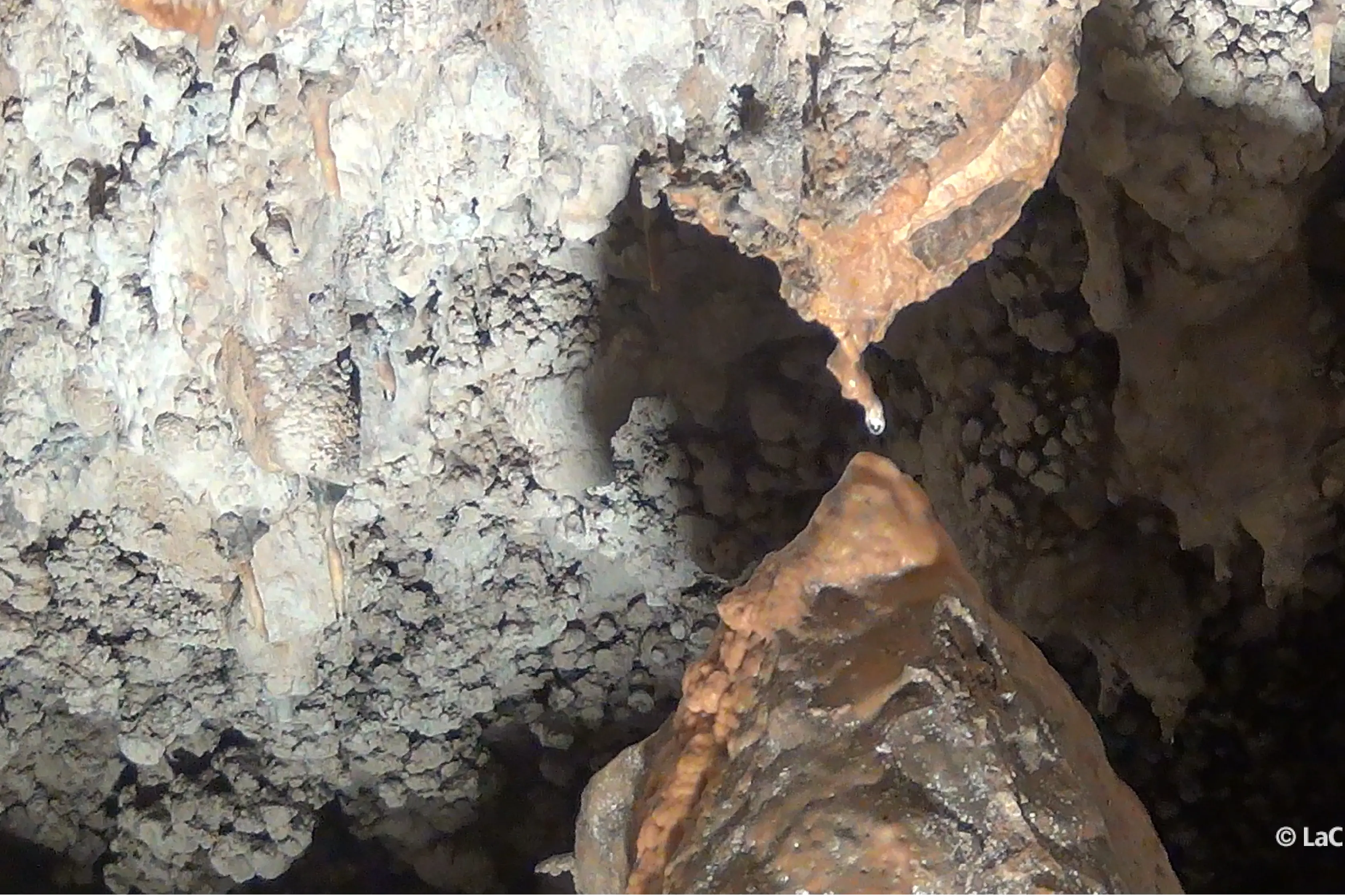 Pasqua 2026 alla scoperta delle Grotte di Sant'Angelo di Cassano