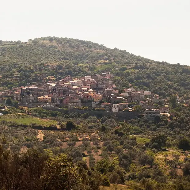 Camini, inerzia istituzionale e solitudine politica: cosa c’è dietro le dimissioni del sindaco Alfarano\n