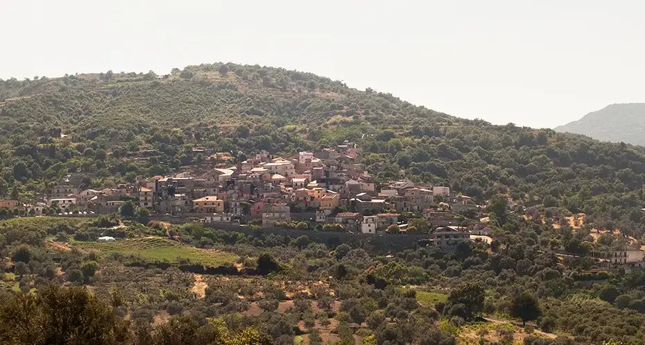 Camini, inerzia istituzionale e solitudine politica: cosa c’è dietro le dimissioni del sindaco Alfarano\n