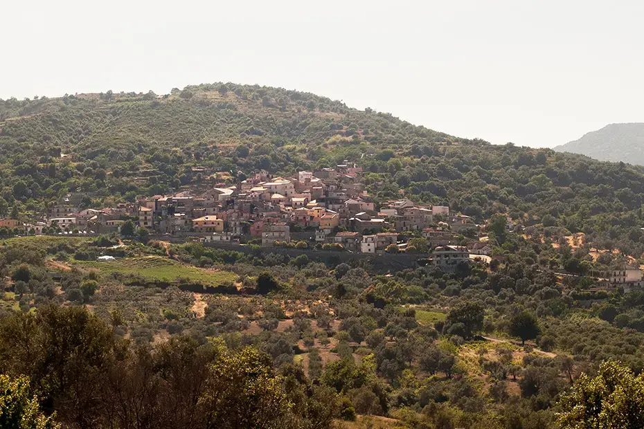 Camini, inerzia istituzionale e solitudine politica: cosa c’è dietro le dimissioni del sindaco Alfarano\n