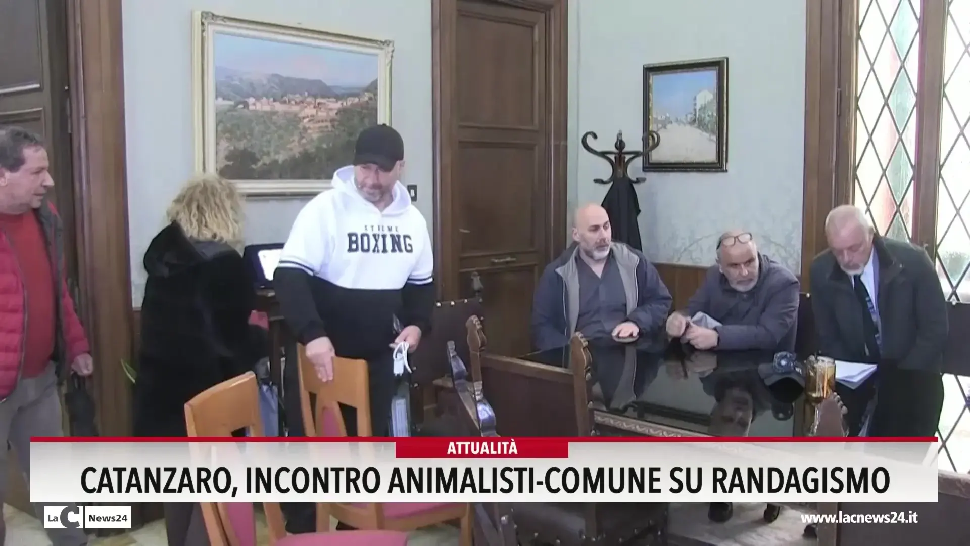 Catanzaro, incontro animalisti-Comune su randagismo