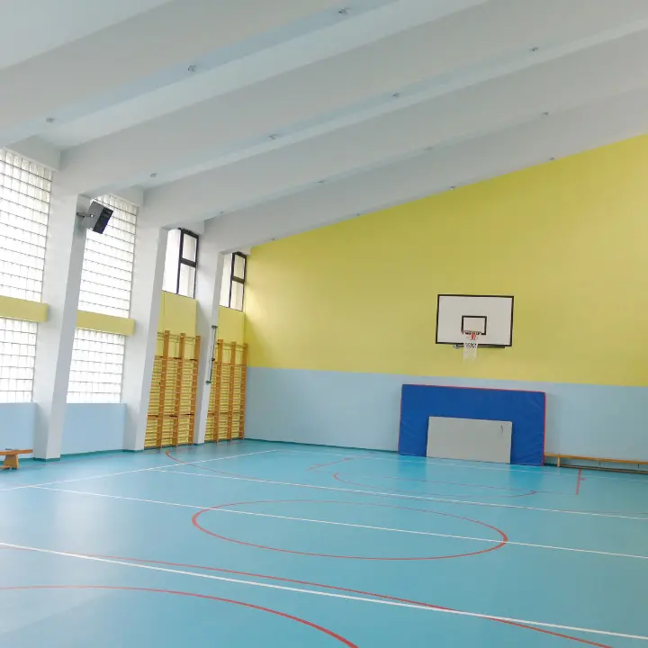 <p>Palestre nelle scuole, la Calabria all’ultimo posto in Italia: la situazione a Vibo</p>