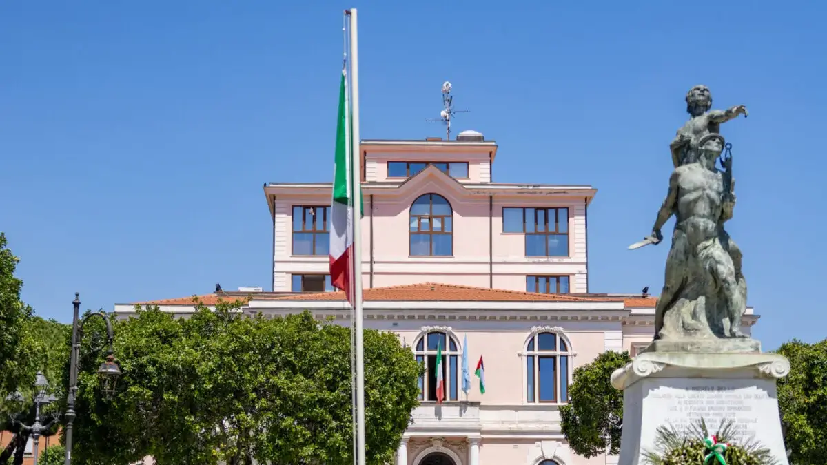 Nidi di processionaria nei terreni privati di Siderno, nuova ordinanza del sindaco Fragomeni\n