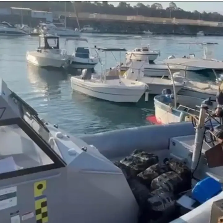 Droga sequestrata al Porto di Gioia Tauro, il plauso del sindaco Scarcella\n