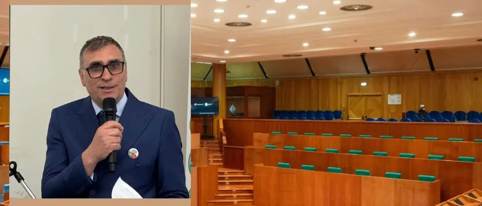 Sottosegretari, Campana (Avs):\u00A0«Occhiuto moltiplica le poltrone e dà uno schiaffo ai calabresi»\n