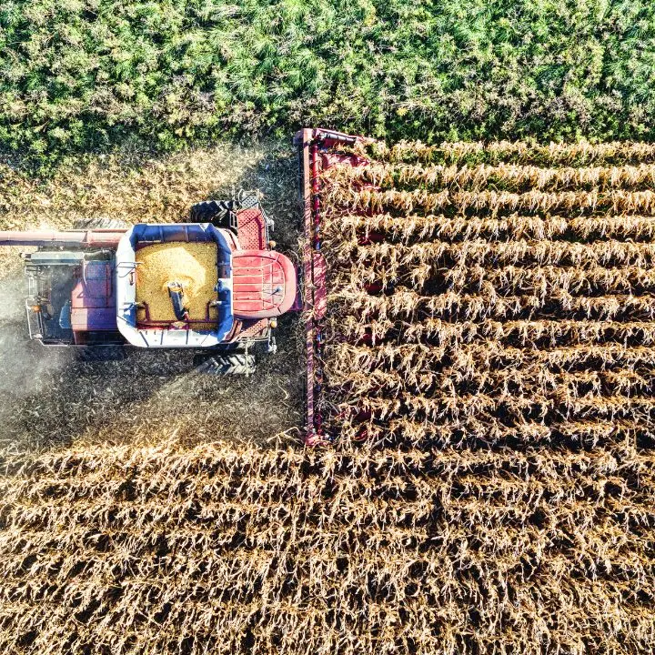 Il contraccolpo della guerra in Iran sull’agricoltura calabrese, Coldiretti:\u00A0«Incrementi superiori al 30%, vicini al collasso»\u00A0\n