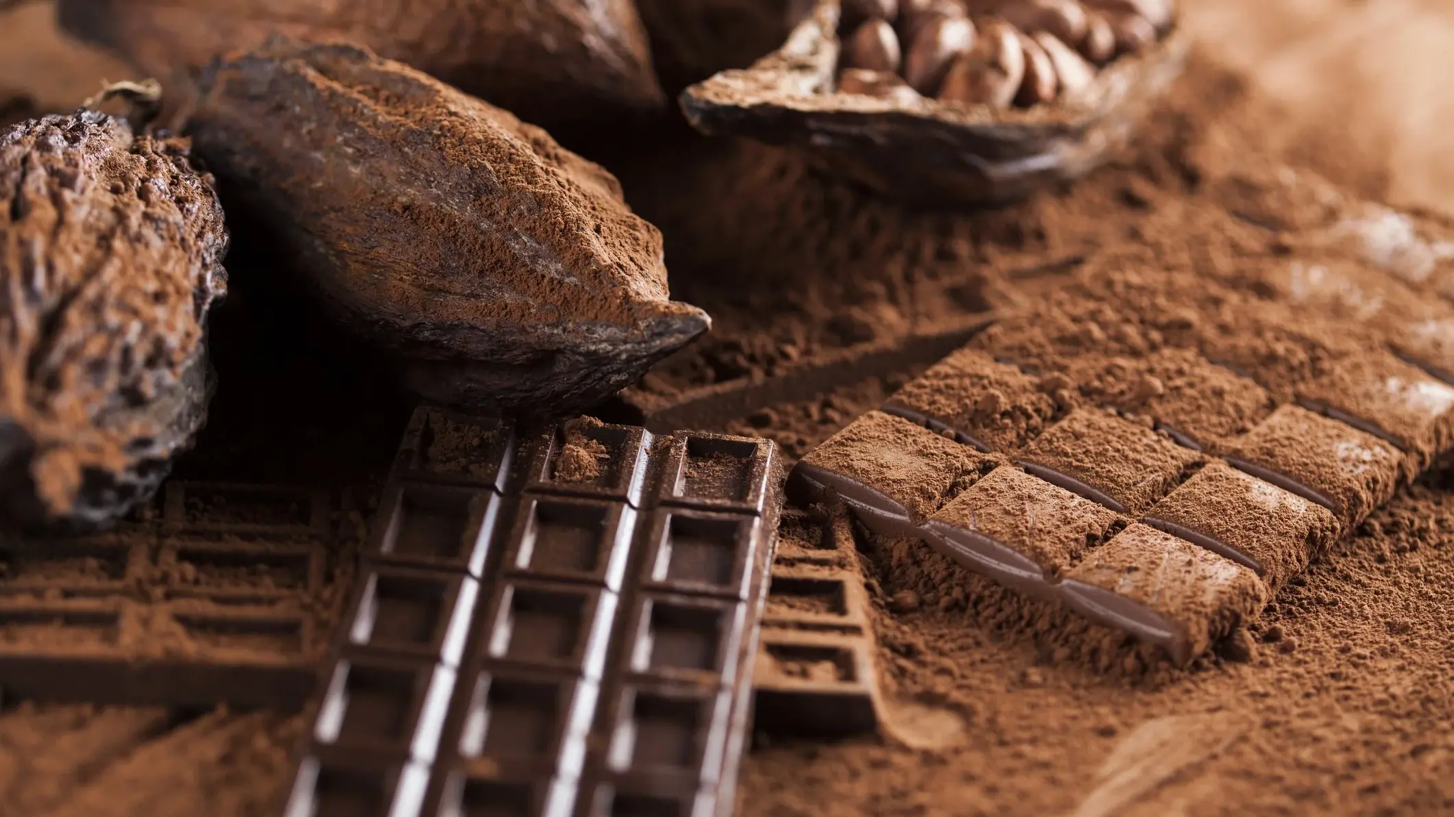 Chocolate bar, candy sweet, cacao beans and powder on wooden background