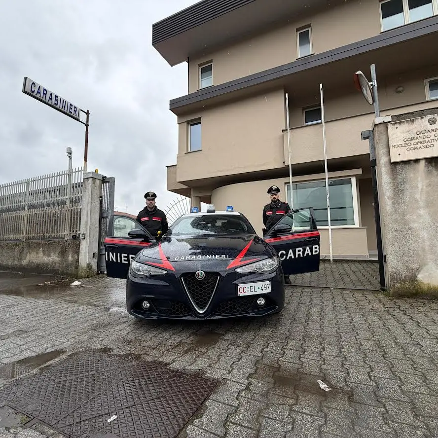 Coltivazione marijuana: quattro persone in carcere e beni sequestrati per 220 mila euro