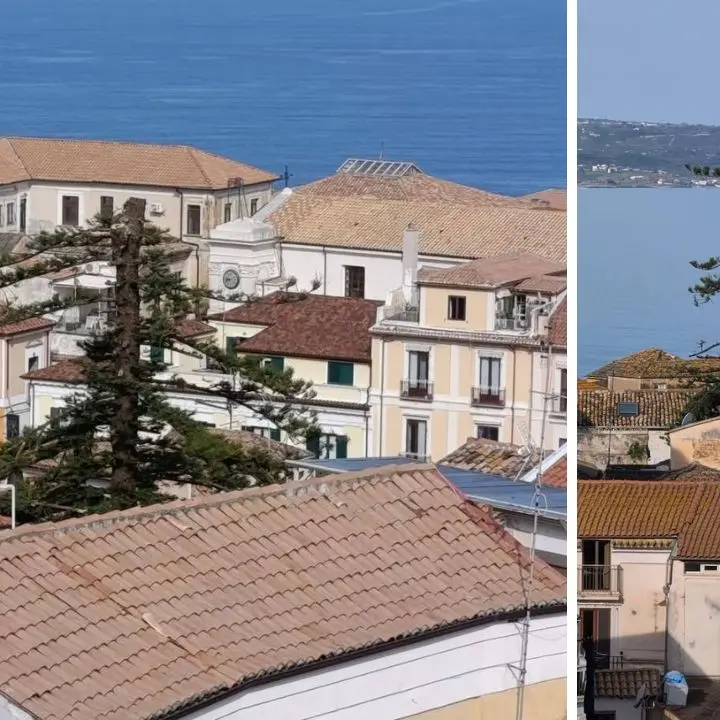 <p>La ferita di Pizzo, Italia Nostra rilancia sul taglio dell’albero secolare e chiama la Procura: «Sfida al rispetto della legalità»</p>