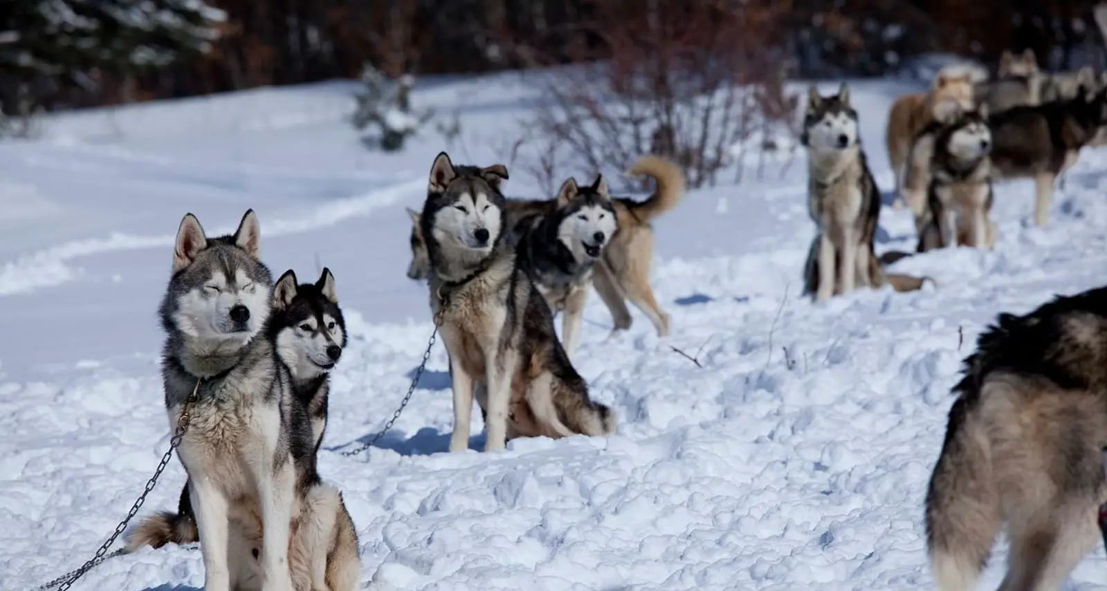 Pasquetta tra Sila, laghi, trenini e grigliate: tutte le idee per la gita fuori porta\n