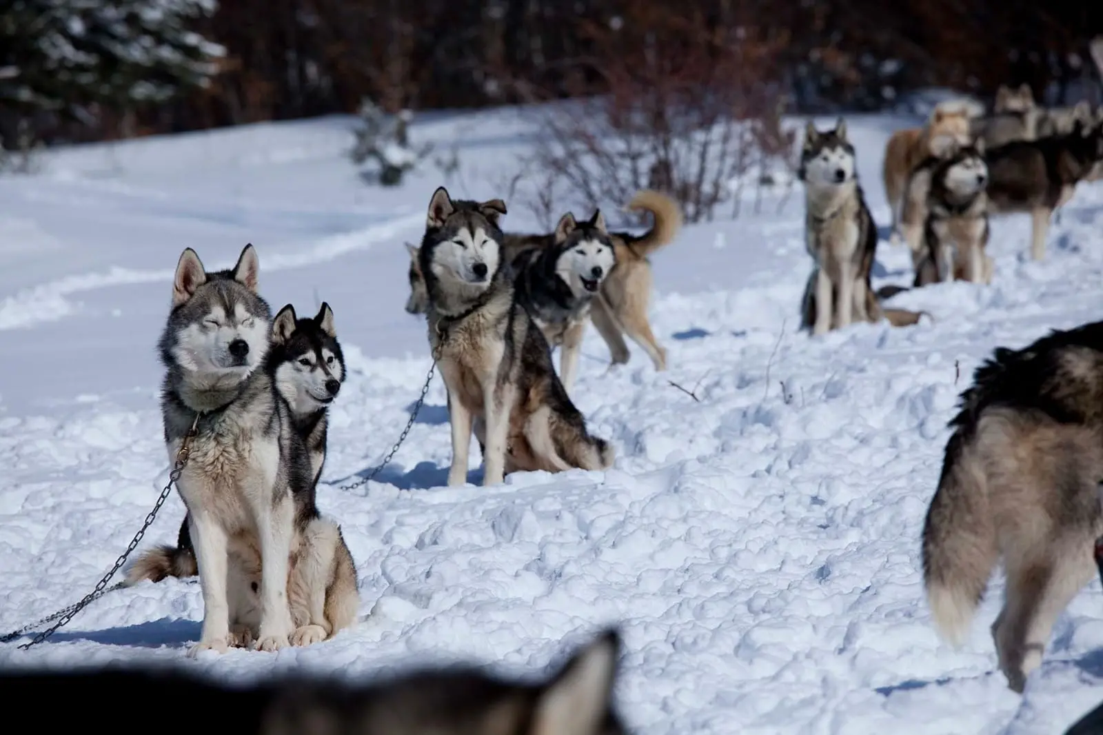 Pasquetta tra Sila, laghi, trenini e grigliate: tutte le idee per la gita fuori porta\n