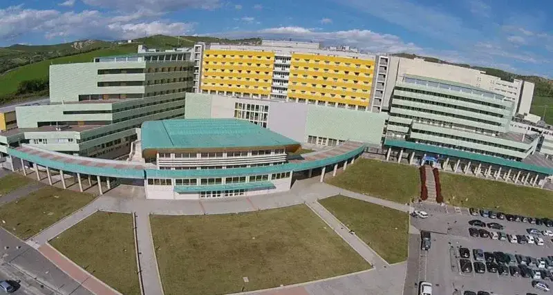 Digitale, intelligenza artificiale e un piano per la sanità del Sud: all'UMG\u00A0nasce un modello innovativo per migliorare le cure mediche\n