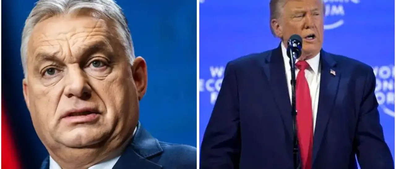 Se la democrazia batte un colpo: il futuro di Ungheria e Stati Uniti può presto ribaltare il clima di odio e violenza\n