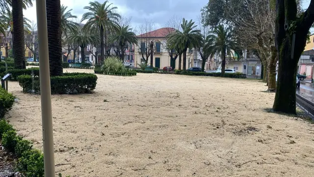 Cittanova, scontro politico sulla Villa comunale: la minoranza richiede\u00A0trasparenza\n