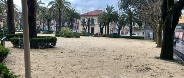 Cittanova, scontro politico sulla Villa comunale: la minoranza richiede\u00A0trasparenza\n