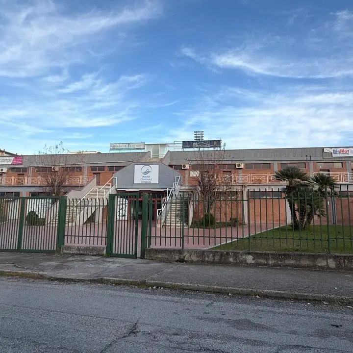 Pallanuoto Calabria, esulta la Smile Cosenza dopo il successo europeo: «È solo l’inizio»\n