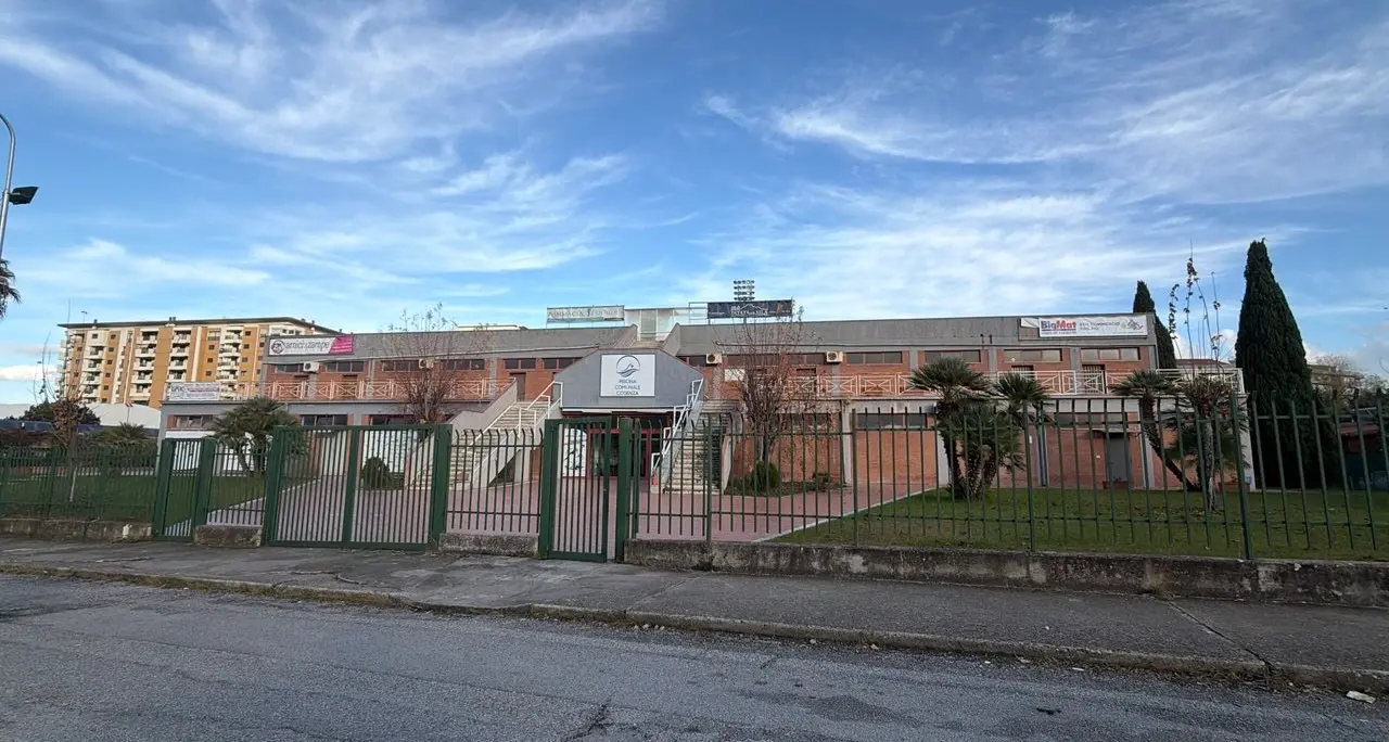 Pallanuoto Calabria, esulta la Smile Cosenza dopo il successo europeo: «È solo l’inizio»\n