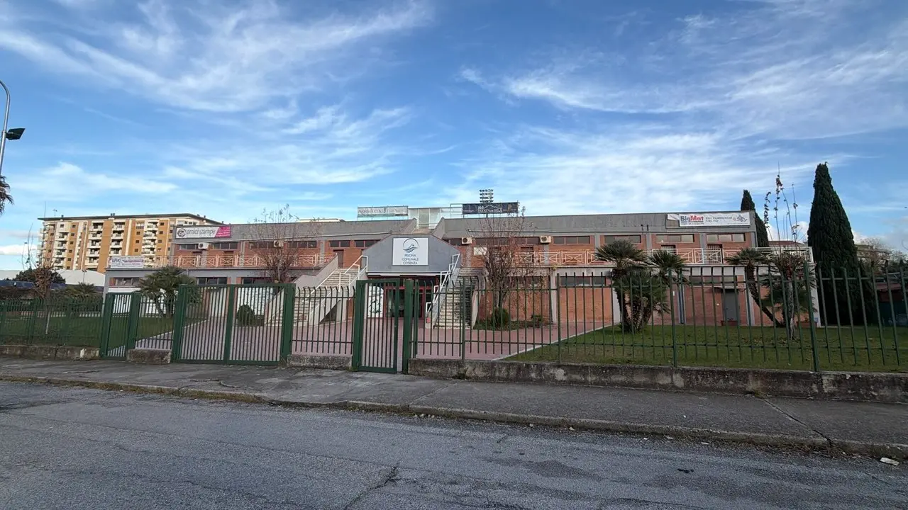 Pallanuoto Calabria, esulta la Smile Cosenza dopo il successo europeo: «È solo l’inizio»\n