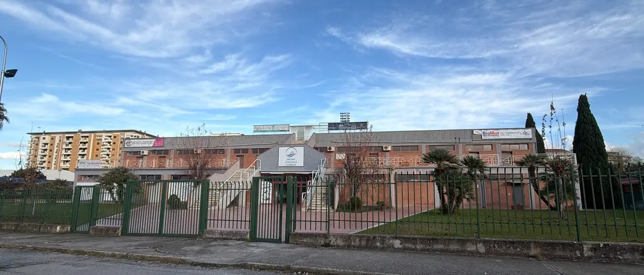 Pallanuoto Calabria, esulta la Smile Cosenza dopo il successo europeo: «È solo l’inizio»\n