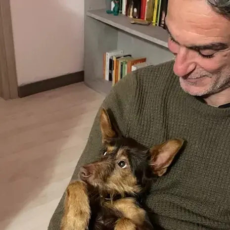 Ingegnere calabrese morto in un incidente a Roma, chi lo investì patteggia 2 anni: la rabbia dei familiari\n