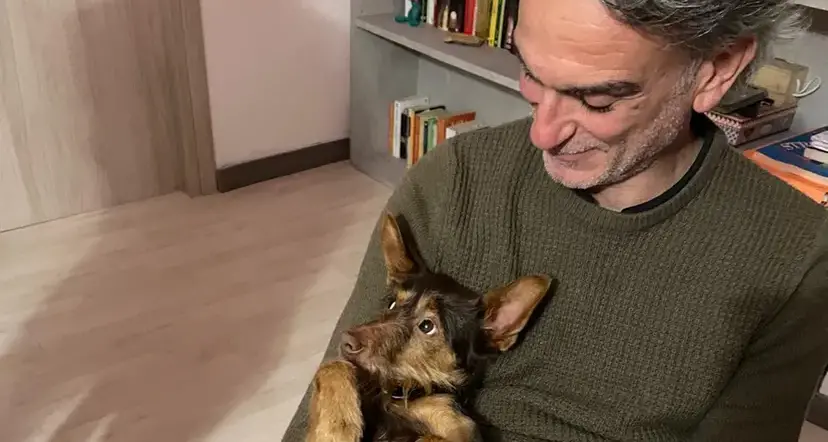 Ingegnere calabrese morto in un incidente a Roma, chi lo investì patteggia 2 anni: la rabbia dei familiari\n