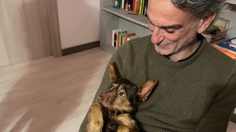 Ingegnere calabrese morto in un incidente a Roma, chi lo investì patteggia 2 anni: la rabbia dei familiari\n