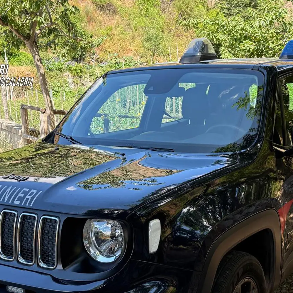 Delianuova, officina abusiva trasformata in discarica: sequestro dei Carabinieri tra rifiuti pericolosi e gravi irregolarità ambientali\n