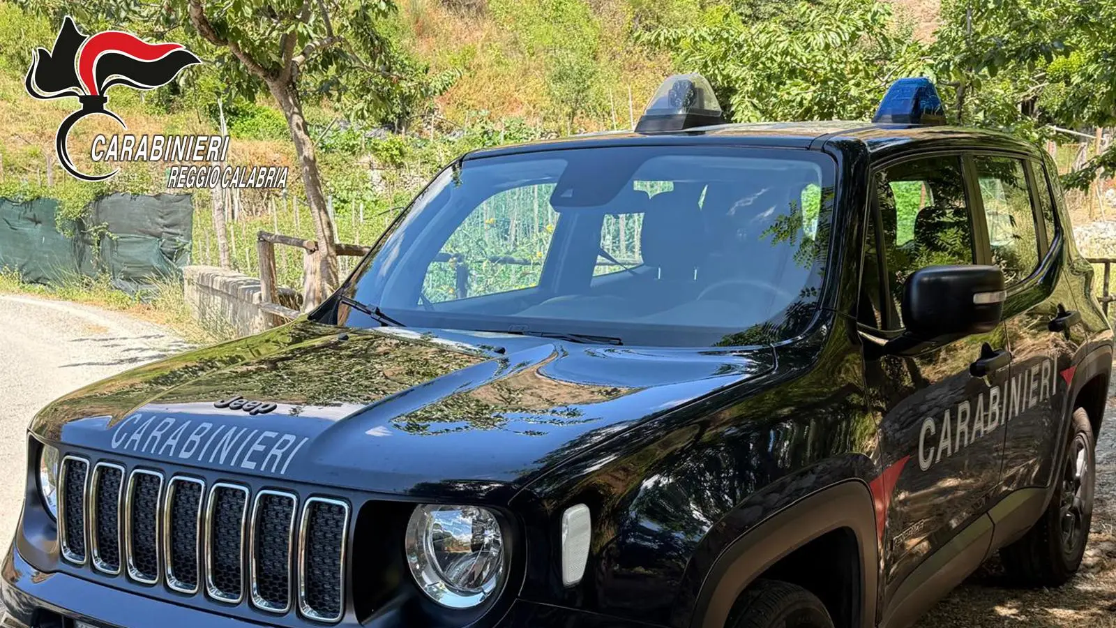 Delianuova, officina abusiva trasformata in discarica: sequestro dei Carabinieri tra rifiuti pericolosi e gravi irregolarità ambientali\n