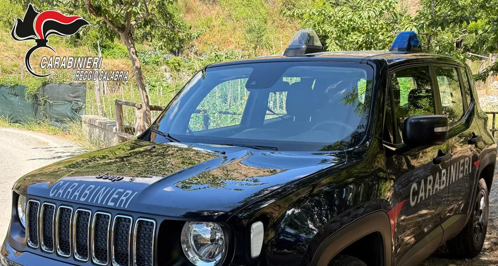 Delianuova, officina abusiva trasformata in discarica: sequestro dei Carabinieri tra rifiuti pericolosi e gravi irregolarità ambientali\n