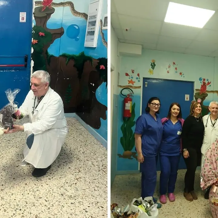 Uova di Pasqua e peluche per i piccoli degenti dell’ospedale di Vibo: il dono speciale degli Amici di Denise\n