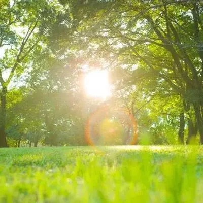 Pasqua e Pasquetta con il sole: temperature in aumento fino a 22 gradi nel Cosentino\n\n\n