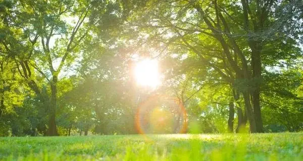 Pasqua e Pasquetta con il sole: temperature in aumento fino a 22 gradi nel Cosentino\n\n\n