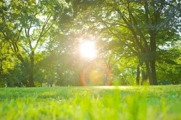 Pasqua e Pasquetta con il sole: temperature in aumento fino a 22 gradi nel Cosentino\n\n\n