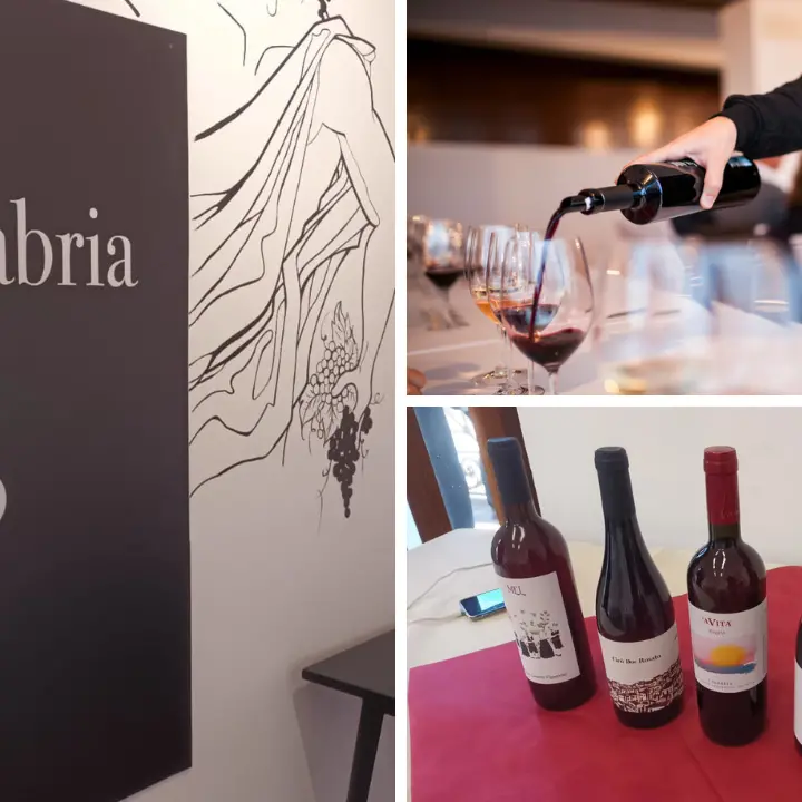 Naturali e senza chimica, la\u00A0Cirò revolution guida il riscatto dei vini calabresi puntando su\u00A0territorio e identità\n