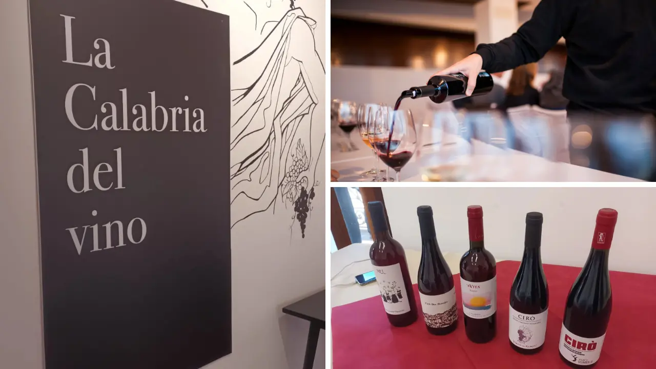 <p>Naturali e senza chimica, la<span style=\"color:hsl(0, 75%, 60%);\"> Cirò revolution</span> guida il riscatto dei vini calabresi puntando su territorio e identità</p>