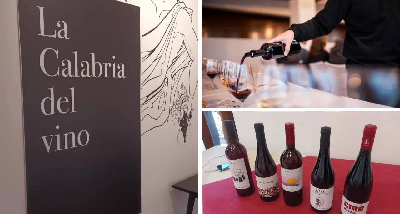 Naturali e senza chimica, la\u00A0Cirò revolution guida il riscatto dei vini calabresi puntando su\u00A0territorio e identità\n