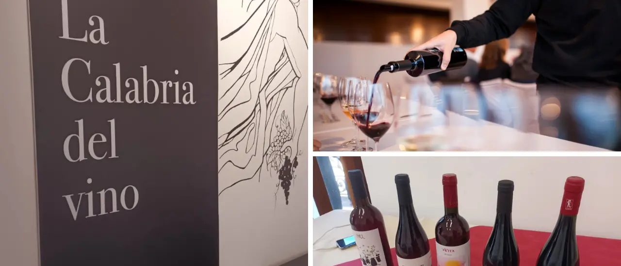Naturali e senza chimica, la\u00A0Cirò revolution guida il riscatto dei vini calabresi puntando su\u00A0territorio e identità\n