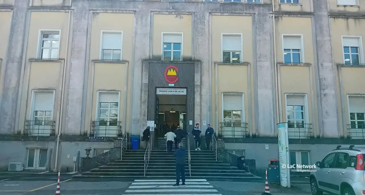 «Vi racconto il mio viaggio della speranza al contrario: da Torino a Catanzaro per smettere di soffrire»