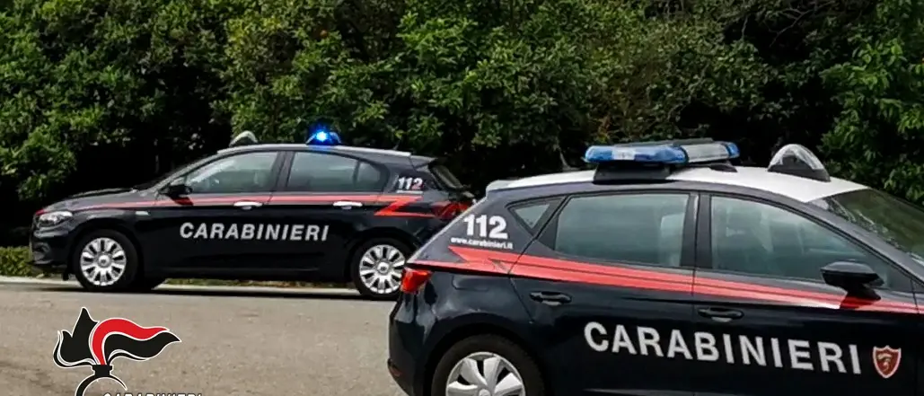 Pasqua sotto controllo nella Piana, 22 denunce nei servizi straordinari dei Carabinieri tra controlli stradali e interventi sul territorio\n