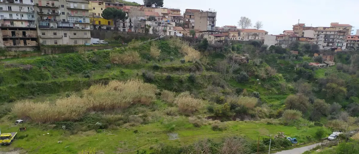 L’interrogativo del comitato di quartiere di Mosorrofa: «Quale futuro per Bufano?»\n