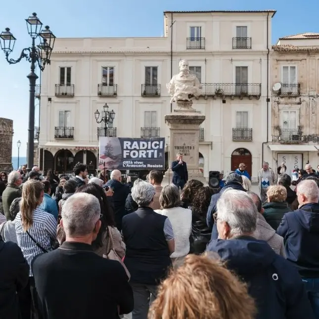 Albero secolare danneggiato, a Pizzo cittadini e amministrazione in piazza: «Ferita l’intera comunità»\n