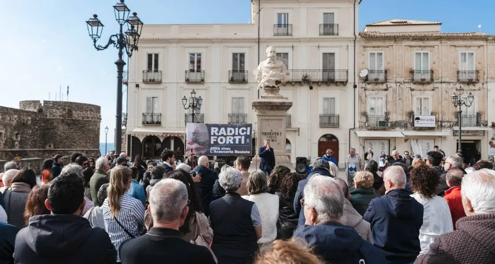 Albero secolare danneggiato, a Pizzo cittadini e amministrazione in piazza: «Ferita l’intera comunità»\n