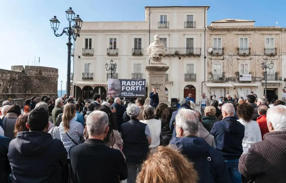 Albero secolare danneggiato, a Pizzo cittadini e amministrazione in piazza: «Ferita l’intera comunità»\n