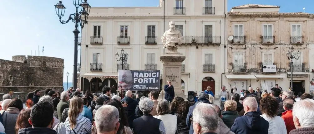 Albero secolare danneggiato, a Pizzo cittadini e amministrazione in piazza: «Ferita l’intera comunità»\n