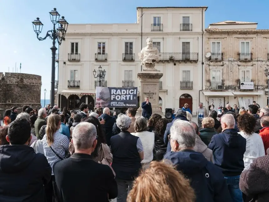 Albero secolare danneggiato, a Pizzo cittadini e amministrazione in piazza: «Ferita l’intera comunità»