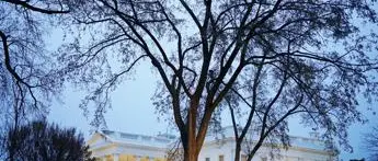 «Trump ricoverato», le voci sui social si moltiplicano e la Casa Bianca è costretta a smentire\n