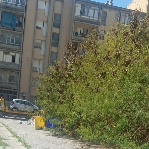 Quartiere Aranceto, l'illegalità non va in vacanza. Gaglianese:\u00A0«Istituzioni assenti, serve un intervento immediato»\n
