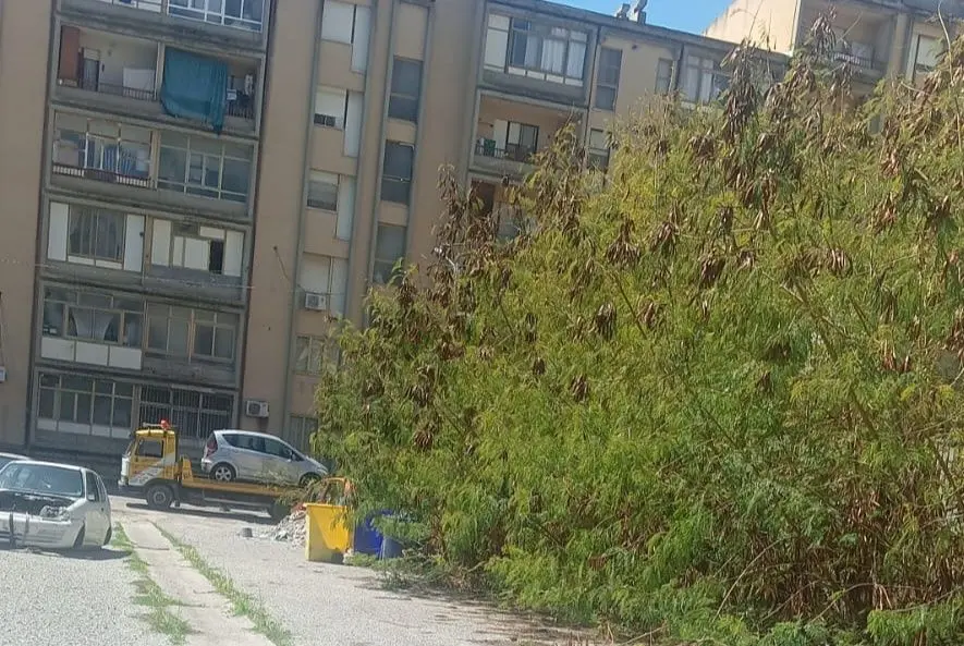Quartiere Aranceto, l'illegalità non va in vacanza. Gaglianese:\u00A0«Istituzioni assenti, serve un intervento immediato»\n